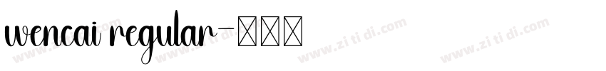 wencai regular字体转换